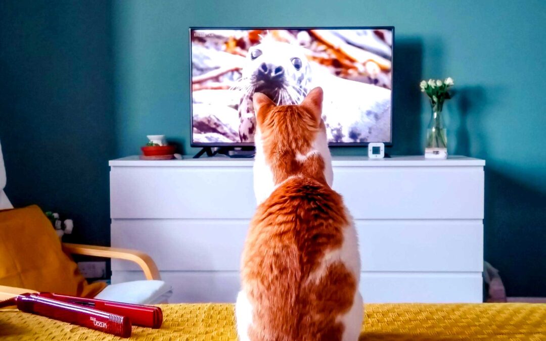 Child & Pet Safety: Why TV Lifts Offer Extra Peace of Mind